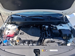 Used 2024  Kia Sportage LX AWD at G.O. Crivelli Autmotive Inc. near New Castle, PA