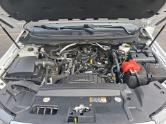 Used 2021  Ford Ranger 4WD SuperCrew 5' Box at G&period;O&period; Crivelli Autmotive Inc&period; near New Castle&comma; PA