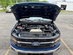 Used 2025  Ford F-150 4WD XLT SuperCrew 6&period;5' Box at G&period;O&period; Crivelli Autmotive Inc&period; near New Castle&comma; PA
