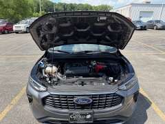Used 2025  Ford Escape Active AWD at G&period;O&period; Crivelli Autmotive Inc&period; near New Castle&comma; PA