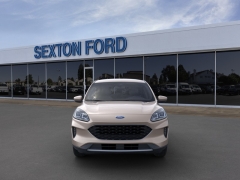 New 2020  Ford Escape 4d SUV FWD SE at Promax Motors near Davenport, IA