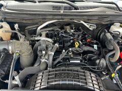 Used 2019  Ford Ranger 4WD SuperCrew 5' Box at Chip Wynn Motors near Paducah&comma; KY