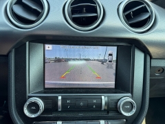 Used 2019  Ford Mustang 2d Convertible GT Premium at Chip Wynn Motors near Paducah&comma; KY