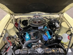 Used 1969  American Motors &lpar;AMC&rpar; AMX  at Chip Wynn Motors near Paducah&comma; KY