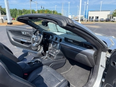 Used 2019  Ford Mustang 2d Convertible GT Premium at Chip Wynn Motors near Paducah&comma; KY