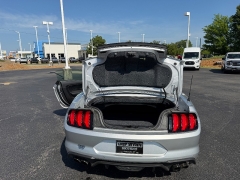 Used 2019  Ford Mustang 2d Convertible GT Premium at Chip Wynn Motors near Paducah&comma; KY