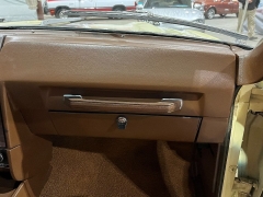 Used 1969  American Motors &lpar;AMC&rpar; AMX  at Chip Wynn Motors near Paducah&comma; KY