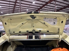 Used 1969  American Motors &lpar;AMC&rpar; AMX  at Chip Wynn Motors near Paducah&comma; KY