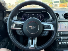 Used 2019  Ford Mustang 2d Convertible GT Premium at Chip Wynn Motors near Paducah&comma; KY