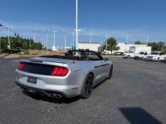 Used 2019  Ford Mustang 2d Convertible GT Premium at Chip Wynn Motors near Paducah&comma; KY