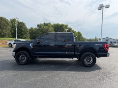 Used 2023  Ford F-150 4WD XLT SuperCrew 5&period;5' Box at Chip Wynn Motors near Paducah&comma; KY