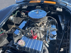 Used 1965  COBRA AC CONVERTIBLE at Chip Wynn Motors near Paducah&comma; KY