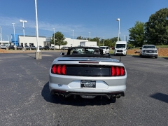 Used 2019  Ford Mustang 2d Convertible GT Premium at Chip Wynn Motors near Paducah&comma; KY