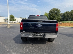 Used 2023  Ford F-150 4WD XLT SuperCrew 5&period;5' Box at Chip Wynn Motors near Paducah&comma; KY