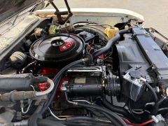 Used 1969  Buick SKYLARK CAR at Chip Wynn Motors near Paducah&comma; KY