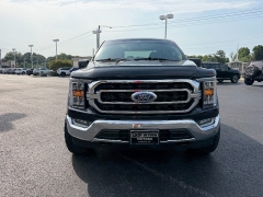 Used 2023  Ford F-150 4WD XLT SuperCrew 5&period;5' Box at Chip Wynn Motors near Paducah&comma; KY
