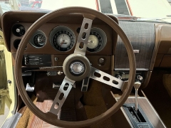 Used 1969  American Motors &lpar;AMC&rpar; AMX  at Chip Wynn Motors near Paducah&comma; KY
