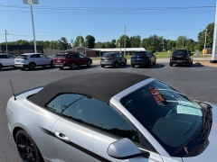 Used 2019  Ford Mustang 2d Convertible GT Premium at Chip Wynn Motors near Paducah&comma; KY