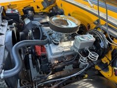 Used 1975  Chevrolet C10 PK at Chip Wynn Motors near Paducah&comma; KY