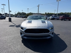 Used 2019  Ford Mustang 2d Convertible GT Premium at Chip Wynn Motors near Paducah&comma; KY
