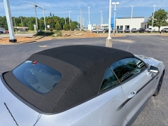 Used 2019  Ford Mustang 2d Convertible GT Premium at Chip Wynn Motors near Paducah&comma; KY