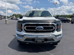 Used 2021  Ford F-150 4WD SuperCrew Box at Chip Wynn Motors near Paducah&comma; KY