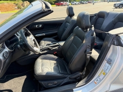 Used 2019  Ford Mustang 2d Convertible GT Premium at Chip Wynn Motors near Paducah&comma; KY