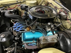 Used 1969  American Motors &lpar;AMC&rpar; AMX  at Chip Wynn Motors near Paducah&comma; KY