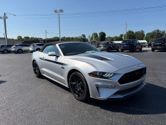 Used 2019  Ford Mustang 2d Convertible GT Premium at Chip Wynn Motors near Paducah&comma; KY