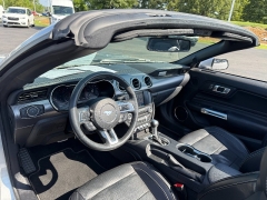 Used 2019  Ford Mustang 2d Convertible GT Premium at Chip Wynn Motors near Paducah&comma; KY