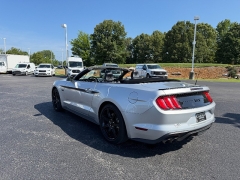 Used 2019  Ford Mustang 2d Convertible GT Premium at Chip Wynn Motors near Paducah&comma; KY