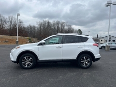 Used 2018  Toyota RAV4 XLE FWD &lpar;Natl&rpar; at Chip Wynn Motors near Paducah&comma; KY