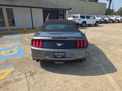 Used 2021  Ford Mustang EcoBoost Premium Convertible at Car Pros Northshore near Covington&comma; LA