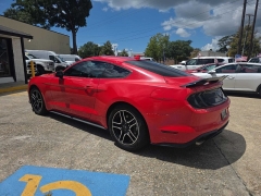 Used 2023  Ford Mustang EcoBoost Premium Fastback at Car Pros Northshore near Covington&comma; LA