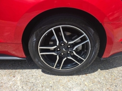 Used 2023  Ford Mustang EcoBoost Premium Fastback at Car Pros Northshore near Covington&comma; LA