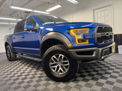 2017 Ford F-150 Raptor