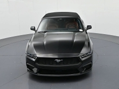 Used 2024  Ford Mustang EcoBoost Convertible at Landmark Auto Credit Center near springfield&comma; IL