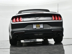 Used 2019  Ford Mustang 2d Convertible EcoBoost at Landmark Auto Credit Center near springfield&comma; IL