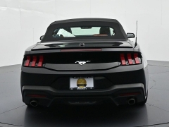 Used 2024  Ford Mustang EcoBoost Convertible at Landmark Auto Credit Center near springfield&comma; IL