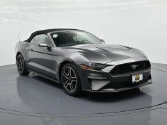 Used 2019  Ford Mustang 2d Convertible EcoBoost at Landmark Auto Credit Center near springfield&comma; IL