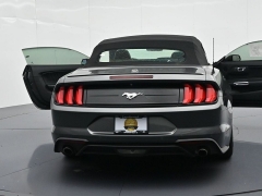 Used 2019  Ford Mustang 2d Convertible EcoBoost at Landmark Auto Credit Center near springfield&comma; IL