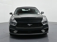 Used 2024  Ford Mustang EcoBoost Convertible at Landmark Auto Credit Center near springfield&comma; IL
