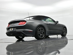 Used 2019  Ford Mustang 2d Convertible EcoBoost at Landmark Auto Credit Center near springfield&comma; IL