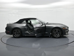 Used 2019  Ford Mustang 2d Convertible EcoBoost at Landmark Auto Credit Center near springfield&comma; IL