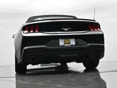 Used 2024  Ford Mustang EcoBoost Convertible at Landmark Auto Credit Center near springfield&comma; IL