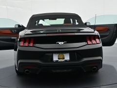 Used 2024  Ford Mustang EcoBoost Convertible at Landmark Auto Credit Center near springfield&comma; IL