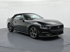 Used 2024  Ford Mustang EcoBoost Convertible at Landmark Auto Credit Center near springfield&comma; IL