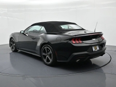 Used 2024  Ford Mustang EcoBoost Convertible at Landmark Auto Credit Center near springfield&comma; IL