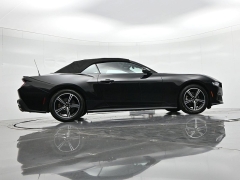 Used 2024  Ford Mustang EcoBoost Convertible at Landmark Auto Credit Center near springfield&comma; IL