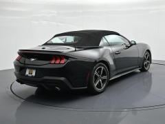 Used 2024  Ford Mustang EcoBoost Convertible at Landmark Auto Credit Center near springfield&comma; IL